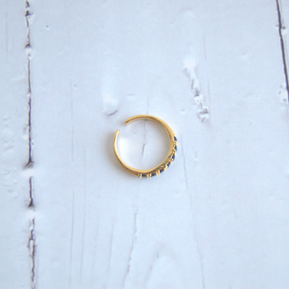 Anillo Anfisa